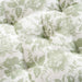 English Garden Printed Cotton Chairpad 40X40Cm - Sage Pan Home