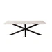 Eskola New 8 Seater Dining Table Marble - White Black ~ White Pan Home