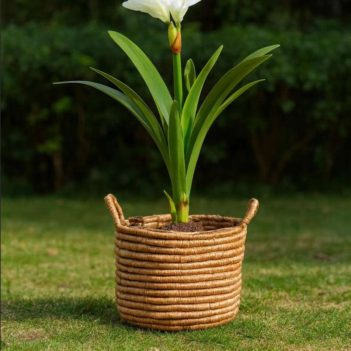 Espie Jute Storage Basket With Handle 30X30X24Cm- Natural Pan Home