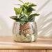Este Stoneware Pot 19.5X19.5X15Cm - Brown Pan Home