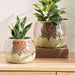 Este Stoneware Pot 19.5X19.5X15Cm - Brown Pan Home