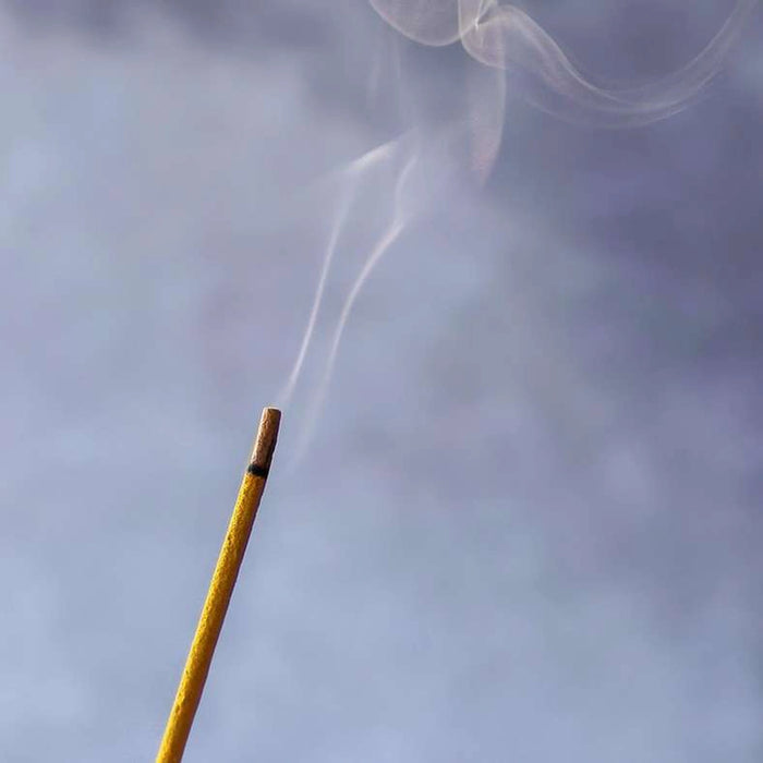 Euphoria White Amber Lily 30-Incense Sticks - Yellow