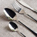 Evren 24-Piece Cutlery Set - Chrome Pan Home