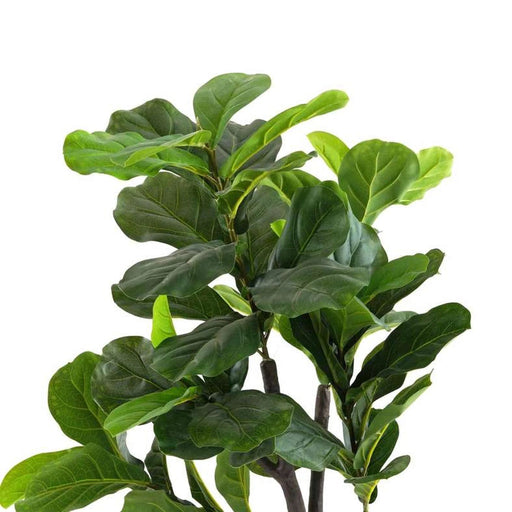 Ficus Bonsai Tree With Pot H125Cm -Green Pan Home