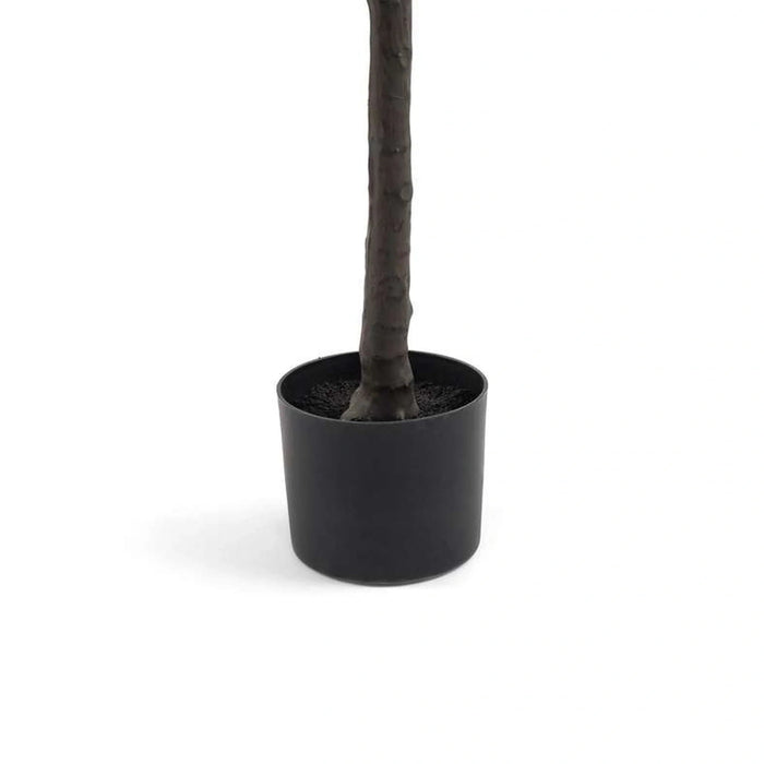 Ficus Bonsai Tree With Pot H125Cm -Green Pan Home