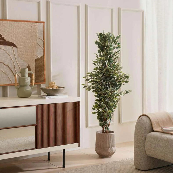 Ficus Tree Green H152Cm Pan Home