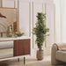 Ficus Tree Green H152Cm Pan Home