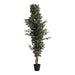 Ficus Tree Green H152Cm Pan Home