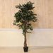Ficus Tree Green H180Cm Pan Home