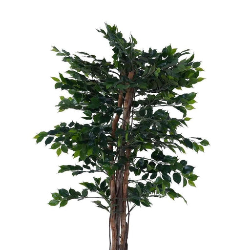 Ficus-Tree Wood Trunk W/Pot Green H180Cm Pan Home