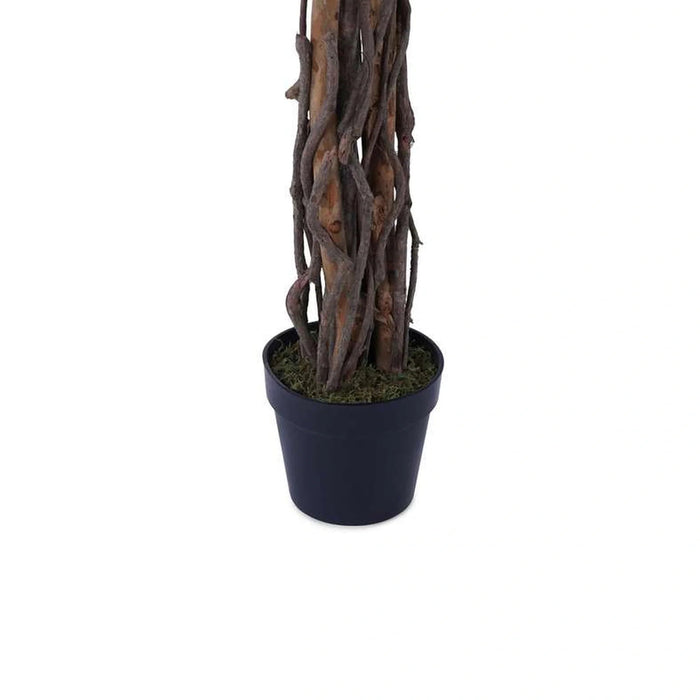 Ficus-Tree Wood Trunk W/Pot Green H180Cm Pan Home