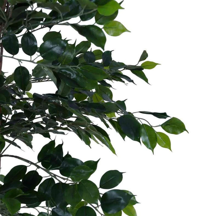 Ficus-Tree Wood Trunk W/Pot Green H180Cm Pan Home
