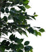 Ficus-Tree Wood Trunk W/Pot Green H180Cm Pan Home
