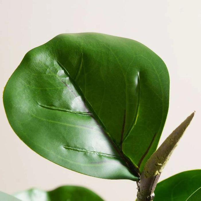 Fiddle Artificial Fig Plant H60Cm - Green Pan Home