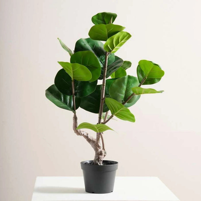 Fiddle Artificial Fig Plant H60Cm - Green Pan Home