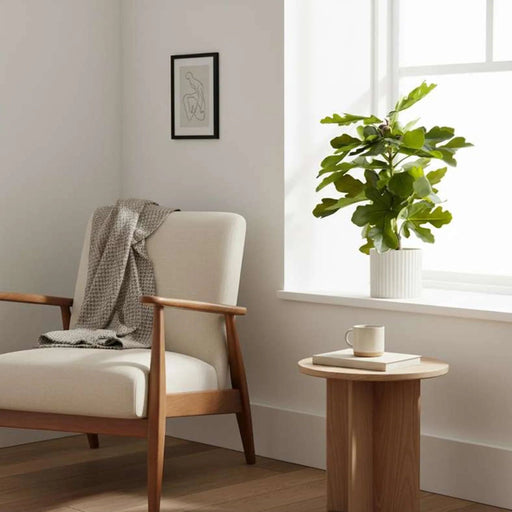 Fig Artificial Plant In Pot H60Cm - Green Pan Home