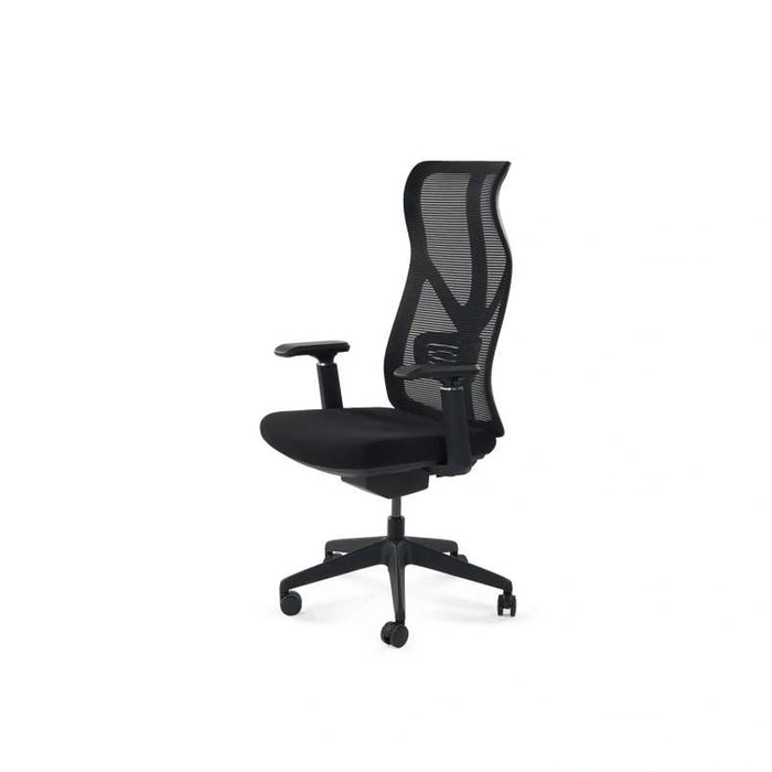 Filbert Office High Back Chair Mesh Fabric - Black