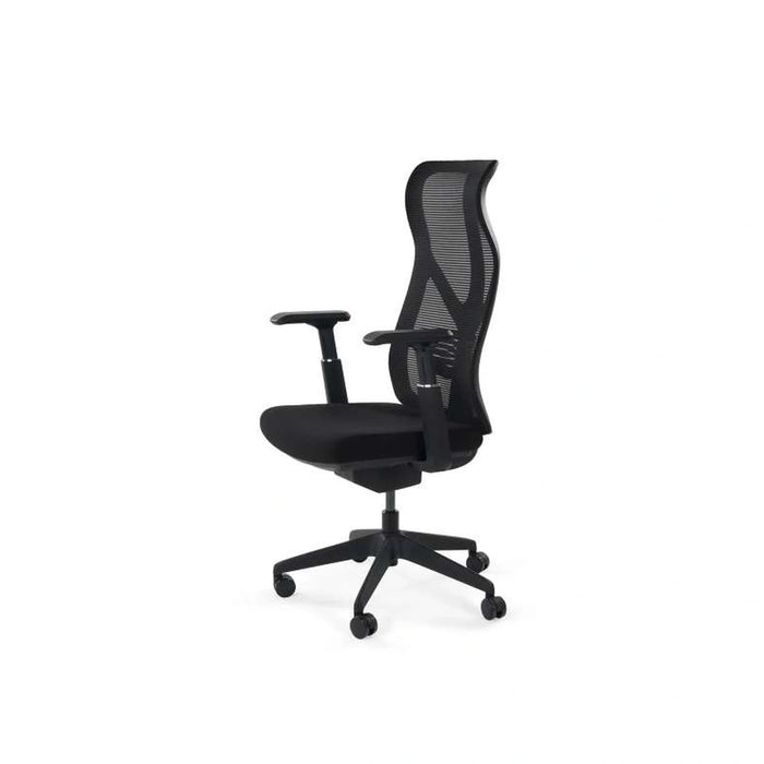 Filbert Office High Back Chair Mesh Fabric - Black