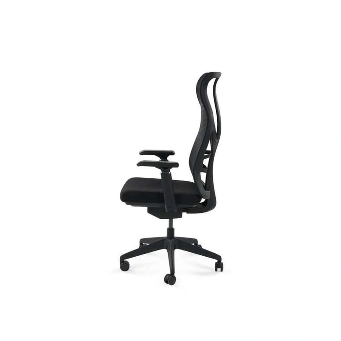 Filbert Office High Back Chair Mesh Fabric - Black