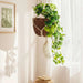 Gingkgo Hanging Plant Artificial Plant H62Cm - Green Pan Home