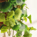 Gingkgo Hanging Plant Artificial Plant H62Cm - Green Pan Home