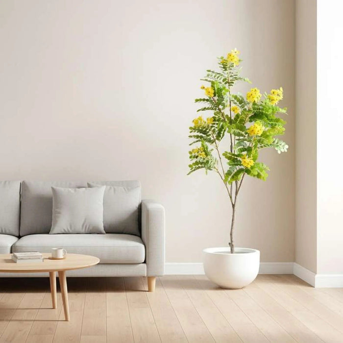 Glaucous Cassia Artificial Tree With Flowers H120Cm - Yellow Pan Home