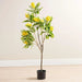 Glaucous Cassia Artificial Tree With Flowers H120Cm - Yellow Pan Home