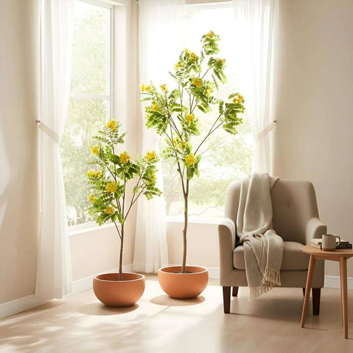 Glaucous Cassia Artificial Tree With Flowers H180Cm - Yellow Pan Home