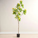 Glaucous Cassia Artificial Tree With Flowers H180Cm - Yellow Pan Home
