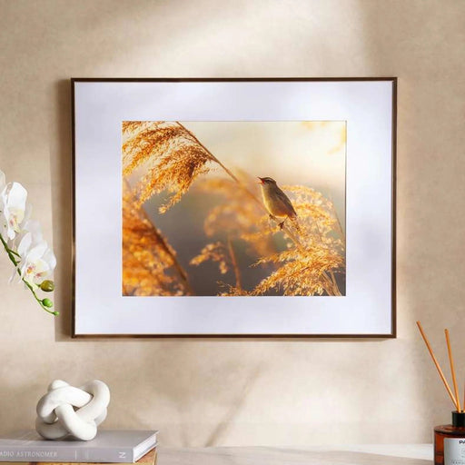 Hermosa Photo Frame 52X41Cm - Gold Pan Home
