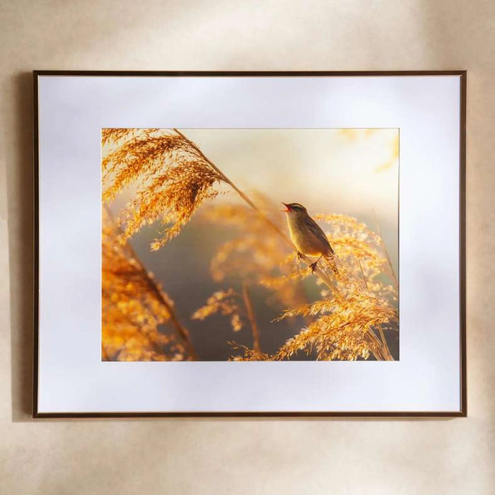 Hermosa Photo Frame 52X41Cm - Gold