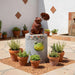Hopper Resin Frog Figurine Garden Decor With Led Light 22.8X16.7X28.5Cm - Brown Pan Home