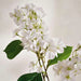 Hydrangea 3-Branch Artificial Stem Flower H91Cm - White Pan Home