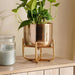 Ida Metal Planter With Stand 13X13X14.5Cm- Gold Pan Home