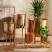 Ida Metal Planter With Stand 13X13X14.5Cm- Gold Pan Home