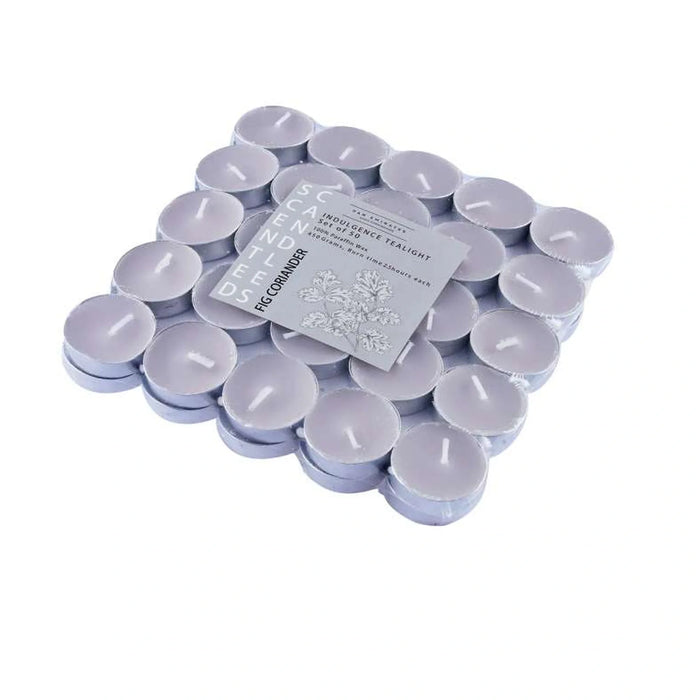 Indulgence Fig Coriander 50 -Piece Tealight Candle - 2.5 Hrs