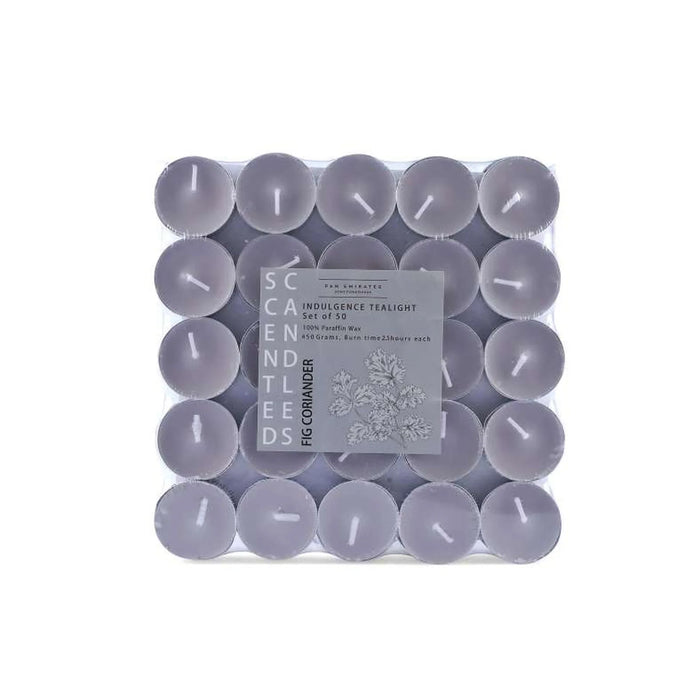 Indulgence Fig Coriander 50 -Piece Tealight Candle - 2.5 Hrs