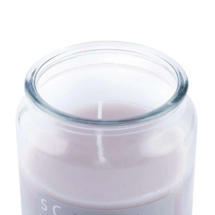 Indulgence Fig Coriander Jar Candle - 30 Hrs Pan Home