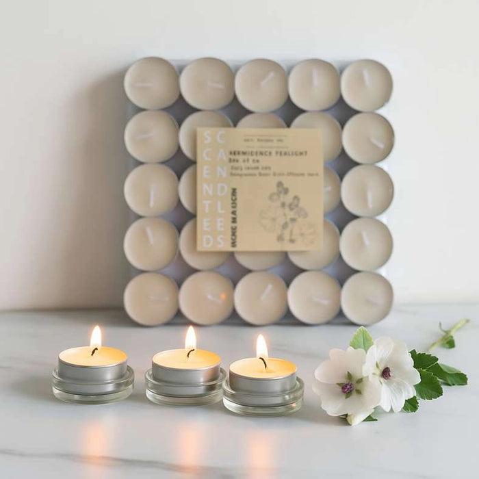 Indulgence Musk Mallow 50 - Piece Tealight Candle - 2.5 Hrs Pan Home