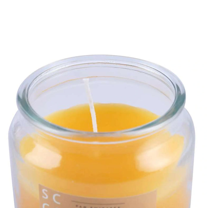 Indulgence Sandalwood Jar Candle 280Gm - 20 Hrs