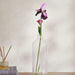 Iris Artificial Stem Flower H80Cm - Purple Pan Home