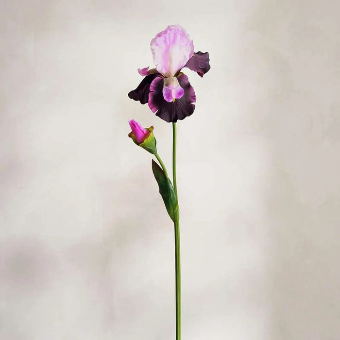 Iris Artificial Stem Flower H80Cm - Purple Pan Home