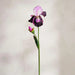 Iris Artificial Stem Flower H80Cm - Purple Pan Home