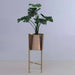 Kerby Metal Planter Gold D20X50Cm Pan Home