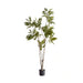 Lacquer Varnish Tree With Pot H210Cm - Green Pan Home