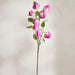 Lantern Artificial Stem Flower H71Cm - Pink Pan Home