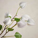 Lantern Artificial Stem Flower H71Cm - White Pan Home