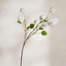 Lantern Artificial Stem Flower H71Cm - White Pan Home