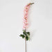 Larkspur Artificial Stem 11.43X11.43X127Cm- Pink Pan Home