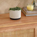 Laura Terracotta Planter With Stand 14X14X12Cm - White Pan Home